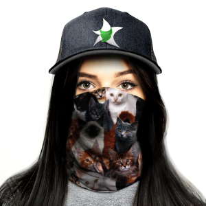 Bandana , Gatos Cute