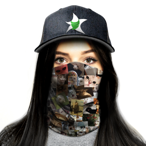 Bandana , Gatos Memes